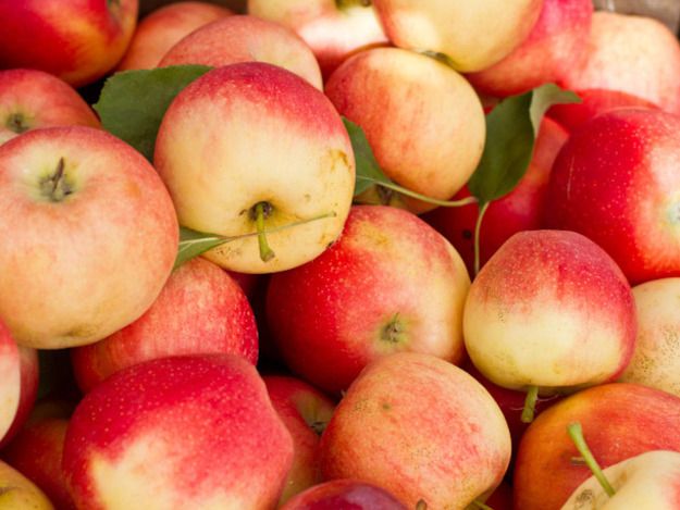 Golden Apples